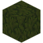 Sprinkled Moss Block