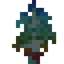 Rainbow Birch Sapling