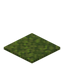 Moss Carpet