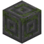 Edged Mossy Stone Bricks Bricks