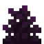Poise Bush