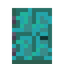 Paneled Warped Door