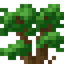 Dark Oak Shrub