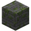 Inscribed Mossy Stone Bricks