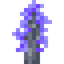 Starlit Sapling