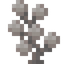 Dead Gem Coral