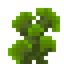 Toxic Coral