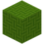 Woved Lime Wool