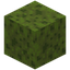 Spongy Moss Block