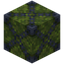 Moss Block 5x