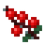 Tau Fruit