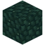 Veridium