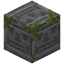 Unamused Mossy Stone Bricks