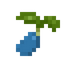 Juniperberry Seed