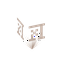 Hologram Xekr Logo