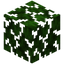 Sugi Leaves