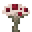 Blood Mushroom
