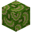 Waved Lime Glazed Terracotta