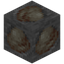 Fossil