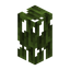 Mangrove Hedge