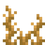 Enderphyte