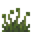 Sporophyte