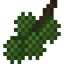 Chestnut Fruit
