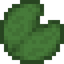 Huge Lily Pad