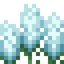Tall White Lavender