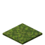Moss Carpet