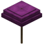 Magenta Umbrella