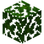 Jungle Leaves
