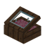 Pink Time Display Case