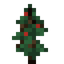 Holly Sapling