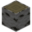 Reinforced Birch Log