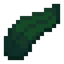 Kelp
