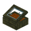 Orange Jinglestem Display Case