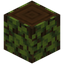 Overgrown Dark Oak Log