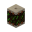 Drum of the Canopy