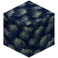 Block of Raw Scheelite