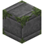 Cut Blank Mossy Stone Bricks