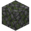 Trodden Mossy Cobblestone