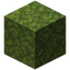 Moss Block