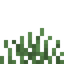 Medium Grass