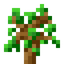 Origin Sapling