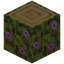 Flowering Oak Log