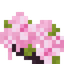 Cherry Shrub