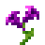 Glimmering Purple Flower