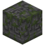Runic Carved Mossy Stone Bricks