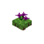 Floating Magenta Flower